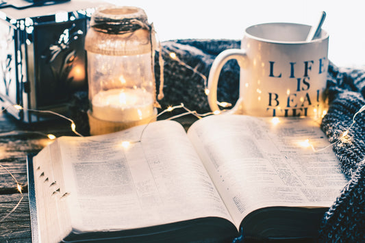 Guided Living: Navigating Life's Journey with the Bible as Your Compass