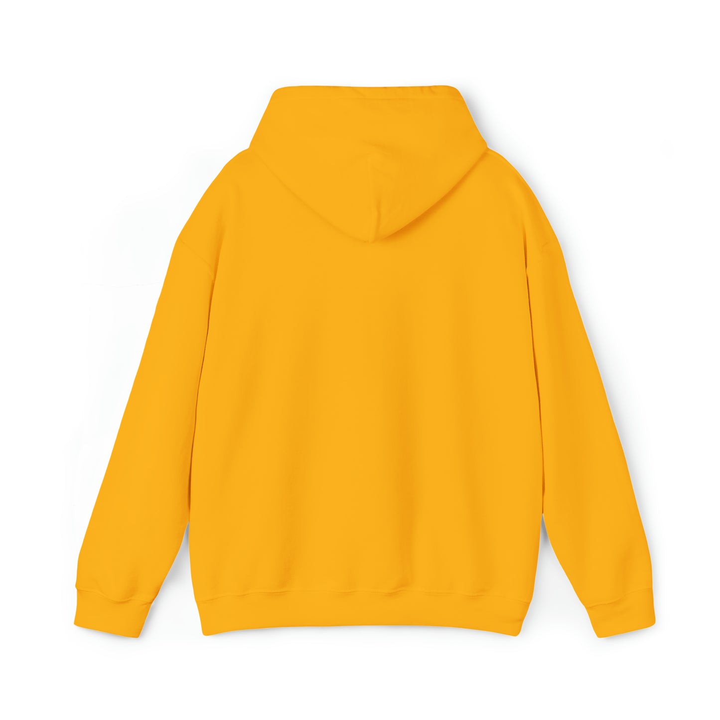 PRAY HARD - FAITH HOODIE