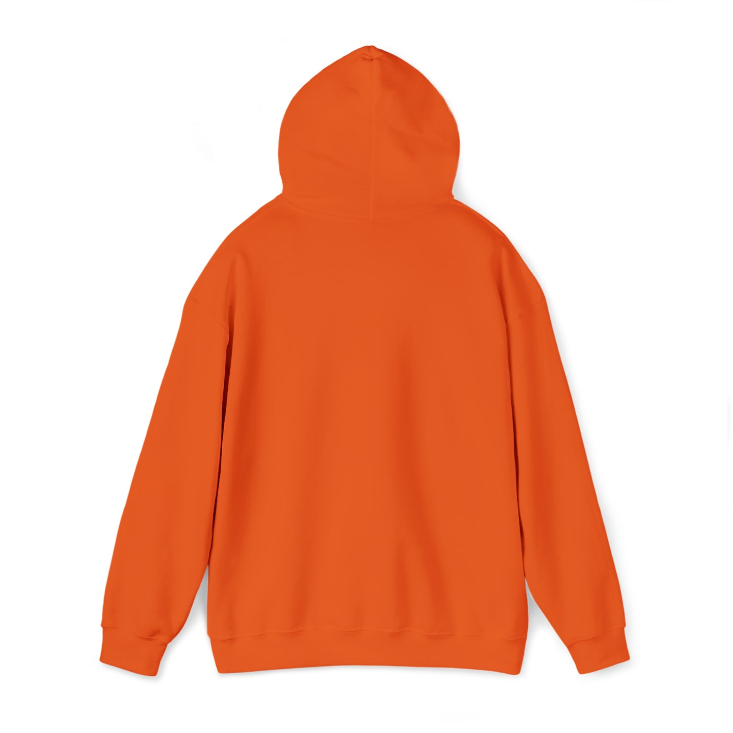 PRAY HARD - FAITH HOODIE