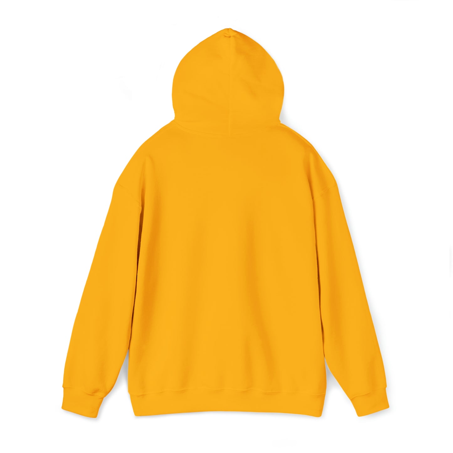 PRAY HARD - FAITH HOODIE