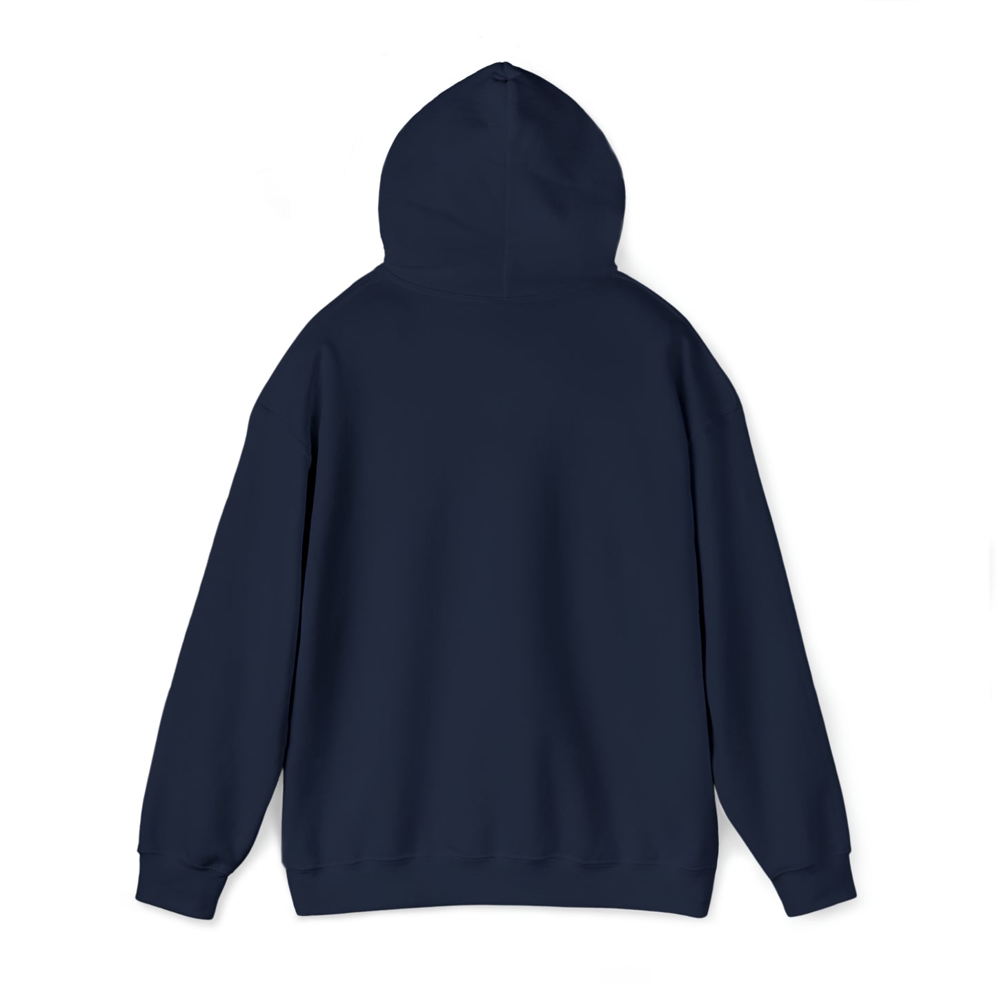 PRAY HARD - FAITH HOODIE