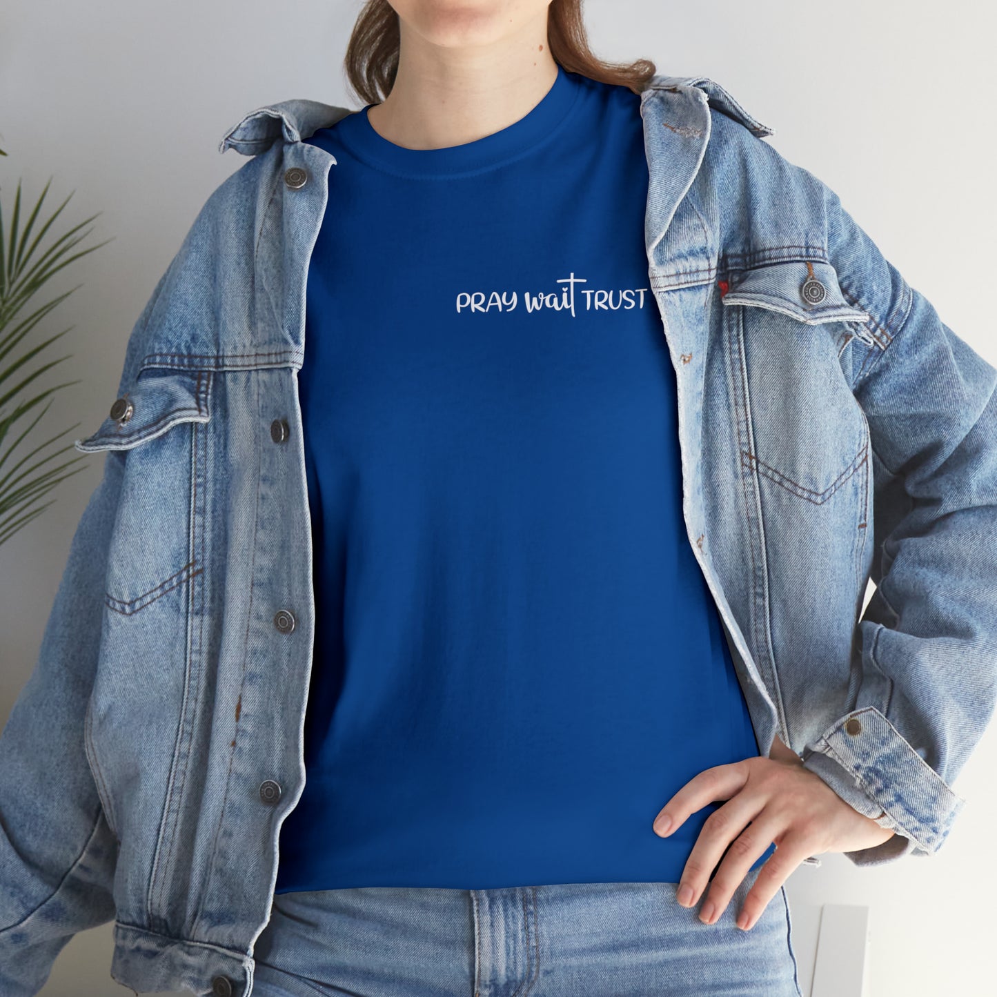PRAY WAIT TRUST - DRK TEE
