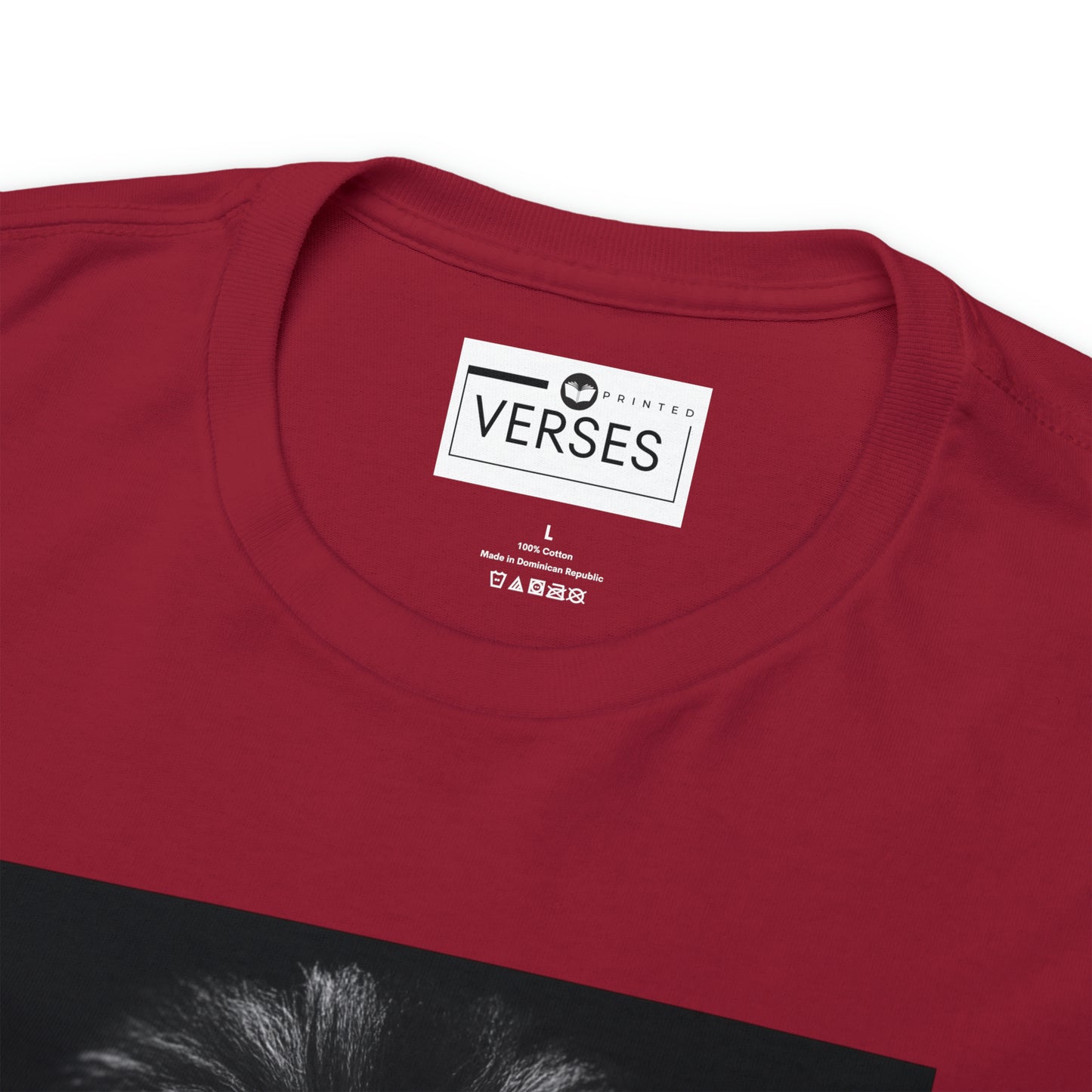 FEAR NOT FOR I AM WITH YOU - DRK TEE