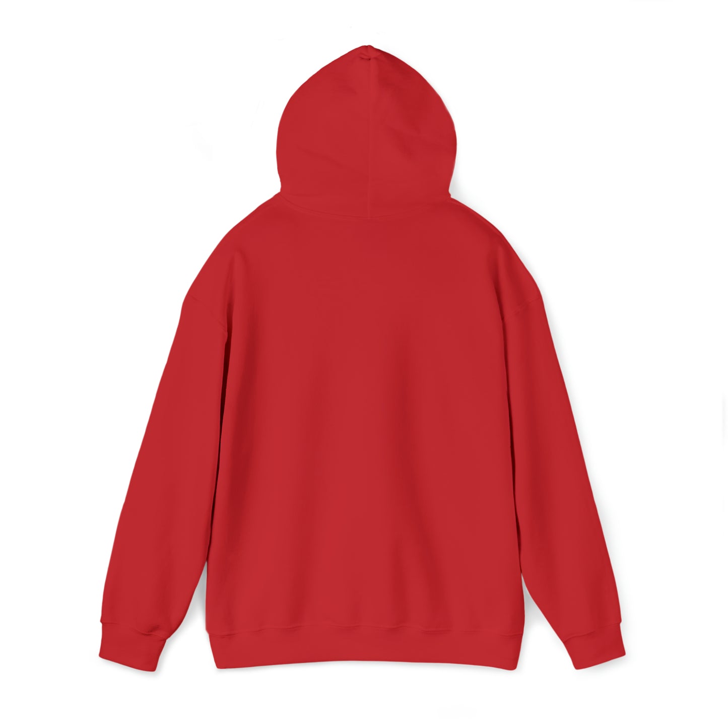 PRAY HARD - FAITH HOODIE
