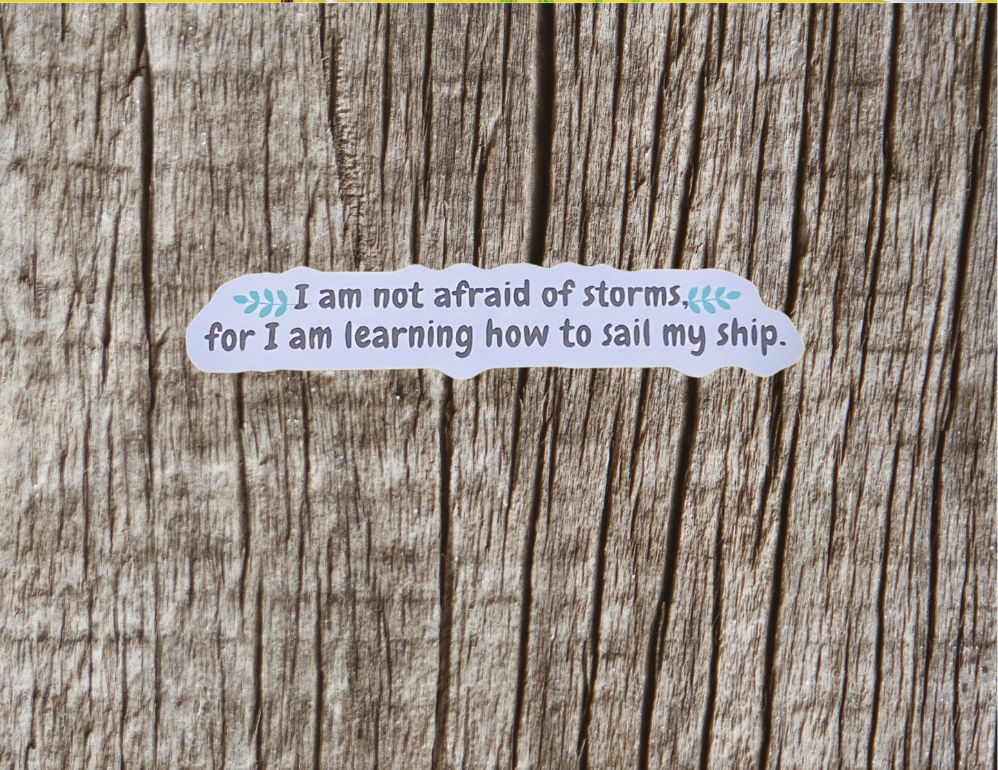 I AM NOT AFRAID OF STORMS